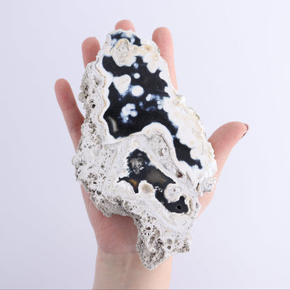 Agatized Coral Flat - Expert Wholesale and Supplier of Wholesale Crystals & Bulk Gemstones, ["Agate","Agatized Coral","Coral","United States"]