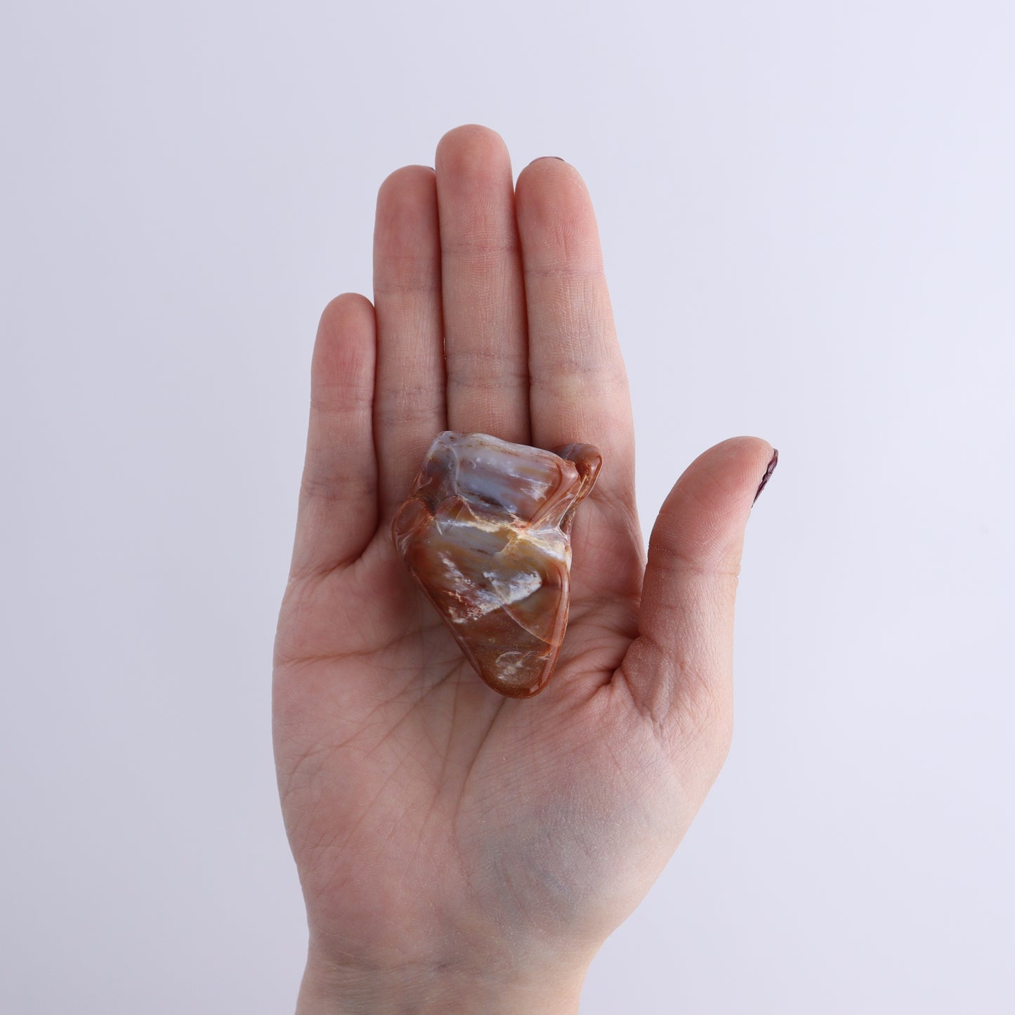 Arizona Petrified Wood Set of 35 - Expert Wholesale and Supplier of Wholesale Crystals & Bulk Gemstones, ["Arizona Petrified Wood","Freeform","Freeforms","Petrified Wood","United States"]