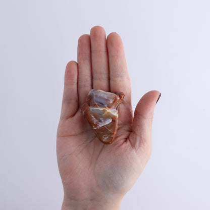 Arizona Petrified Wood Set of 35 - Expert Wholesale and Supplier of Wholesale Crystals & Bulk Gemstones, ["Arizona Petrified Wood","Freeform","Freeforms","Petrified Wood","United States"]