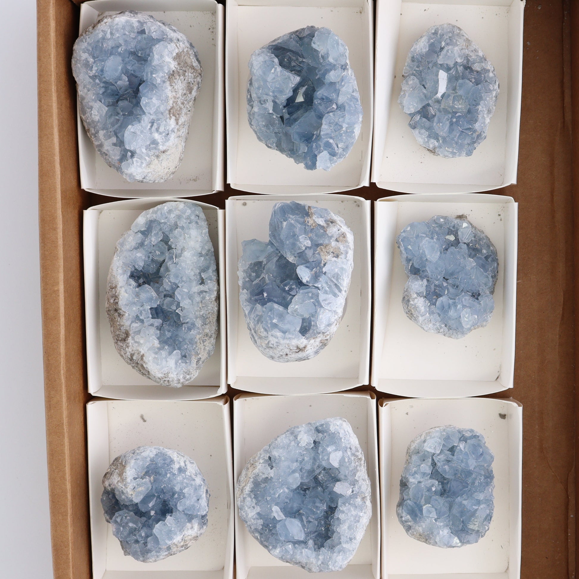 Celestite Clusters Set of 9 - Expert Wholesale and Supplier of Wholesale Crystals & Bulk Gemstones, ["Celestite","Clusters","Freeform"]