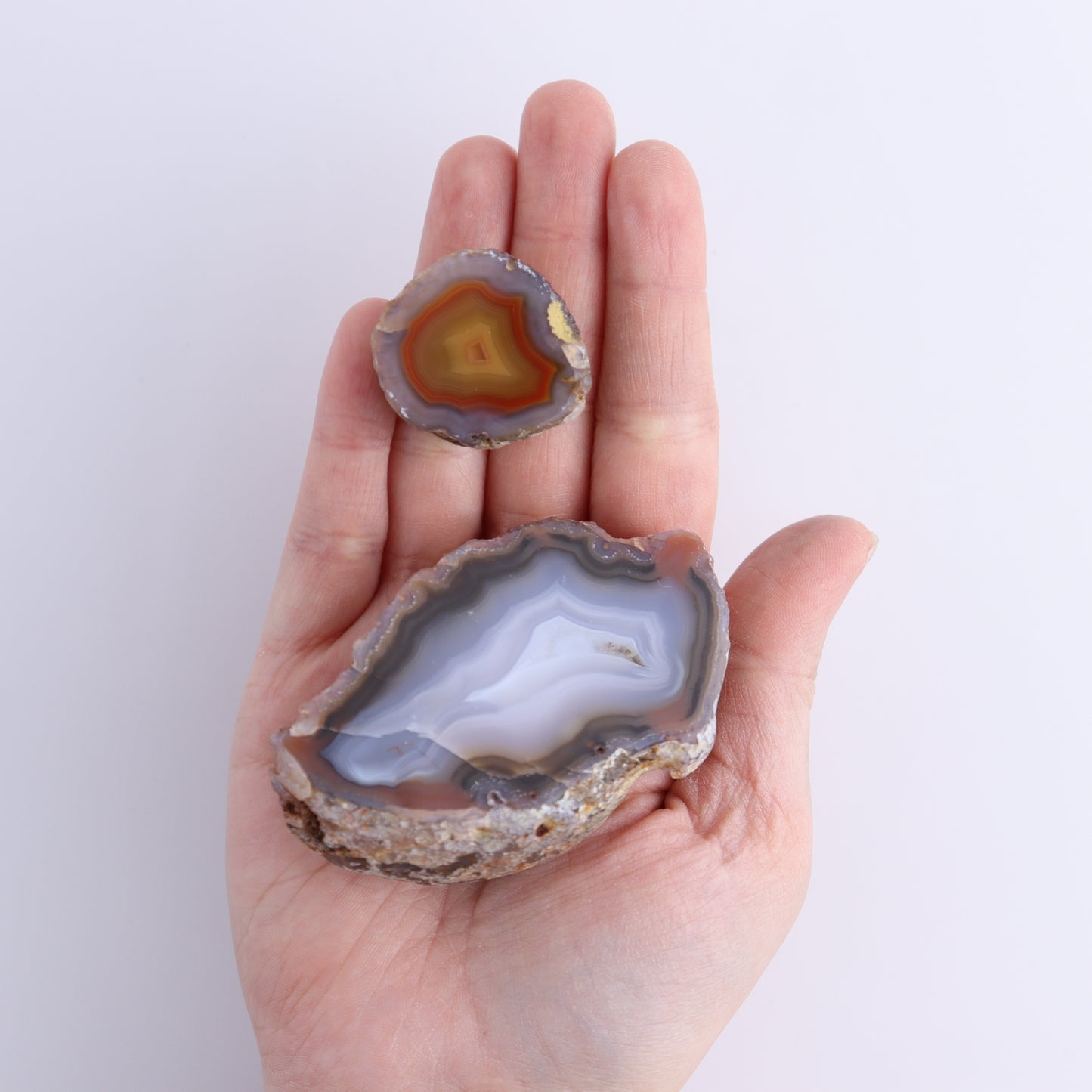 Coyamito Agate Geodes from Mexico Set of 8