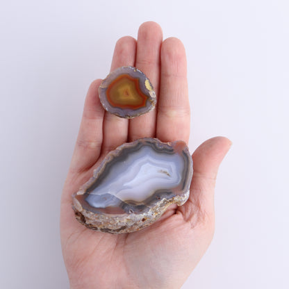 Coyamito Agate Geodes from Mexico Set of 8