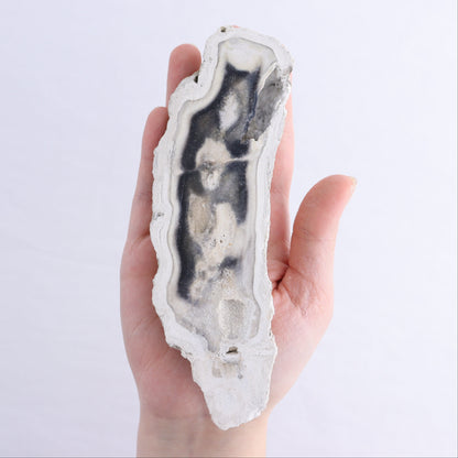 Agatized Coral Flat - Expert Wholesale and Supplier of Wholesale Crystals & Bulk Gemstones, ["Agate","Agatized Coral","Coral","United States"]