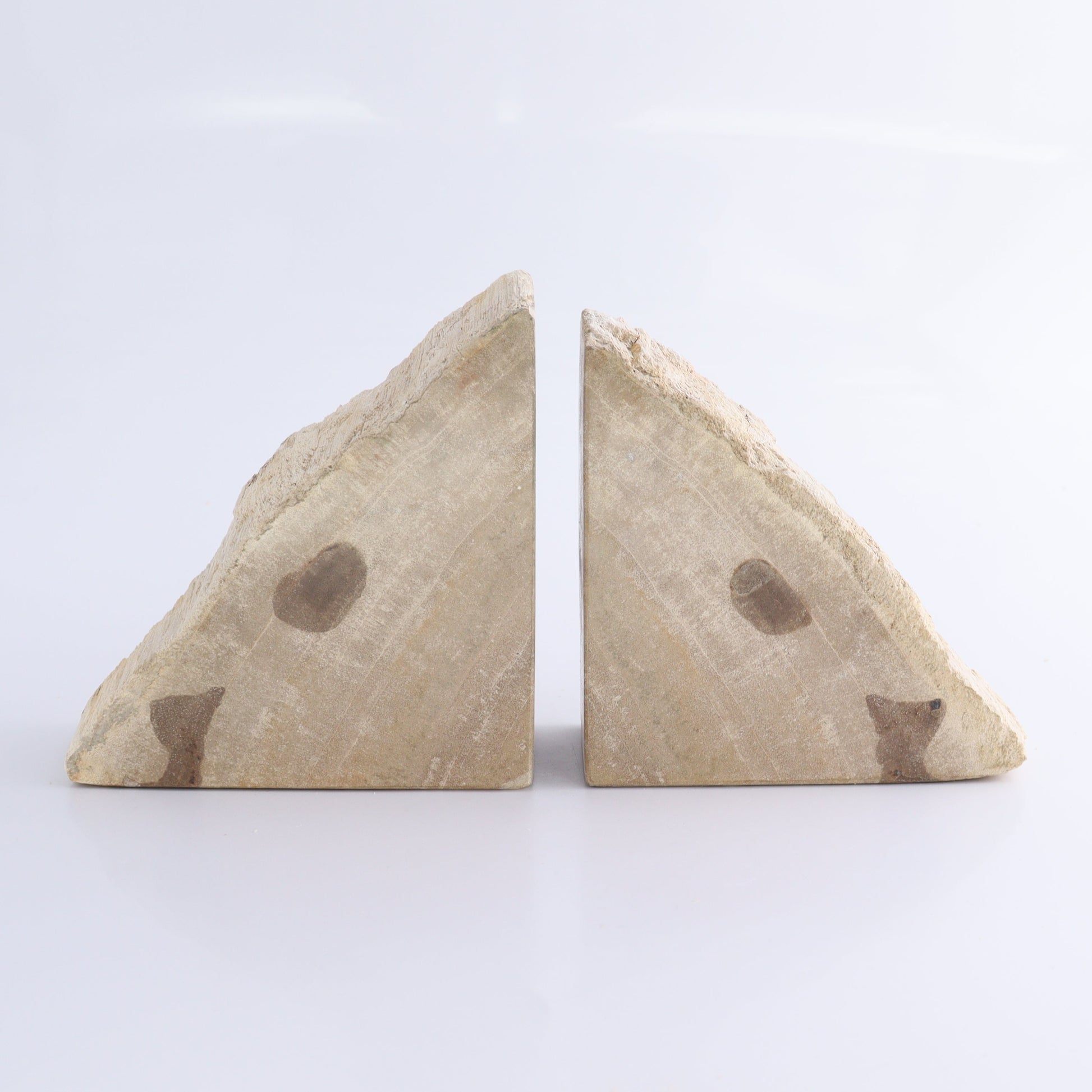 One Pair of White/Grey 1.5-1.7 kg Petrified Wood Bookends - Expert Wholesale and Supplier of Wholesale Crystals & Bulk Gemstones, ["Bookends","Indonesia","Petrified Wood"]