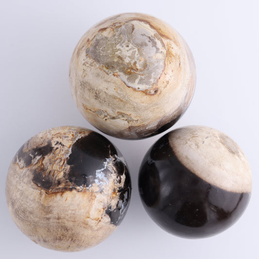 Petrified Wood Spheres Set of 3 - Expert Wholesale and Supplier of Wholesale Crystals & Bulk Gemstones, ["Indonesia","Petrified Wood","Spheres"]