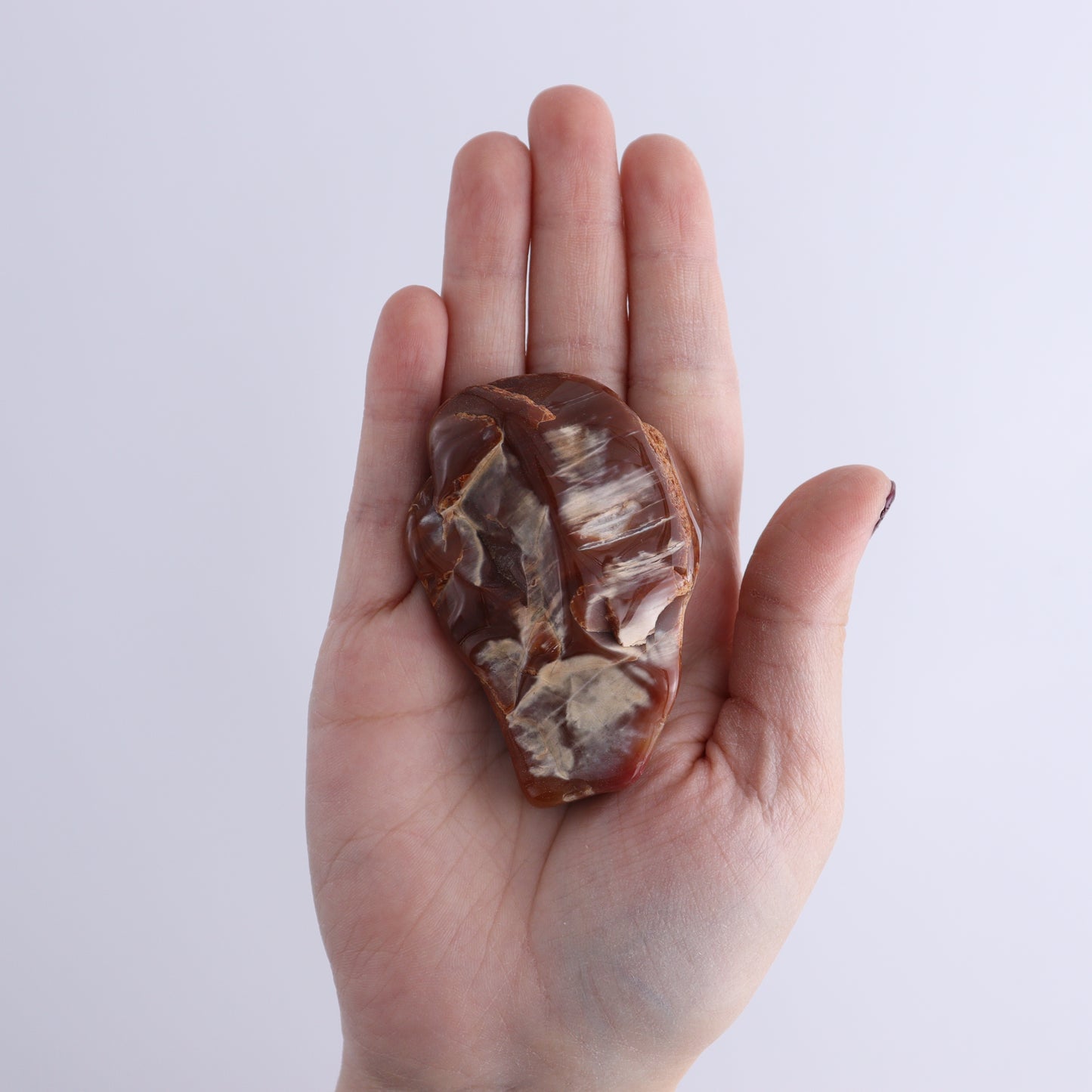 Arizona Petrified Wood Set of 35 - Expert Wholesale and Supplier of Wholesale Crystals & Bulk Gemstones, ["Arizona Petrified Wood","Freeform","Freeforms","Petrified Wood","United States"]