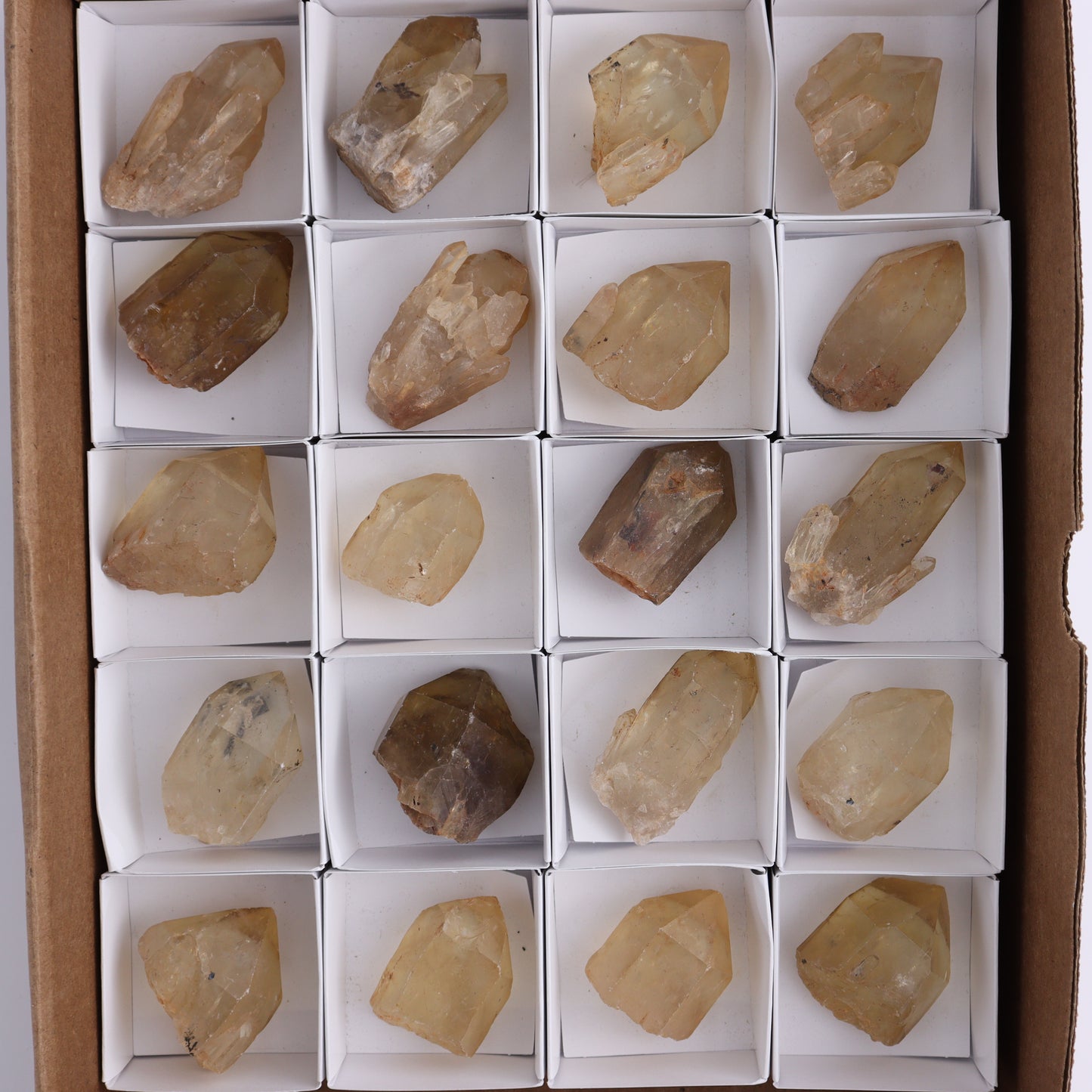 Congo Citrine Set of 20 - Expert Wholesale and Supplier of Wholesale Crystals & Bulk Gemstones, ["Citrine","Congo","Rough","Roughs"]
