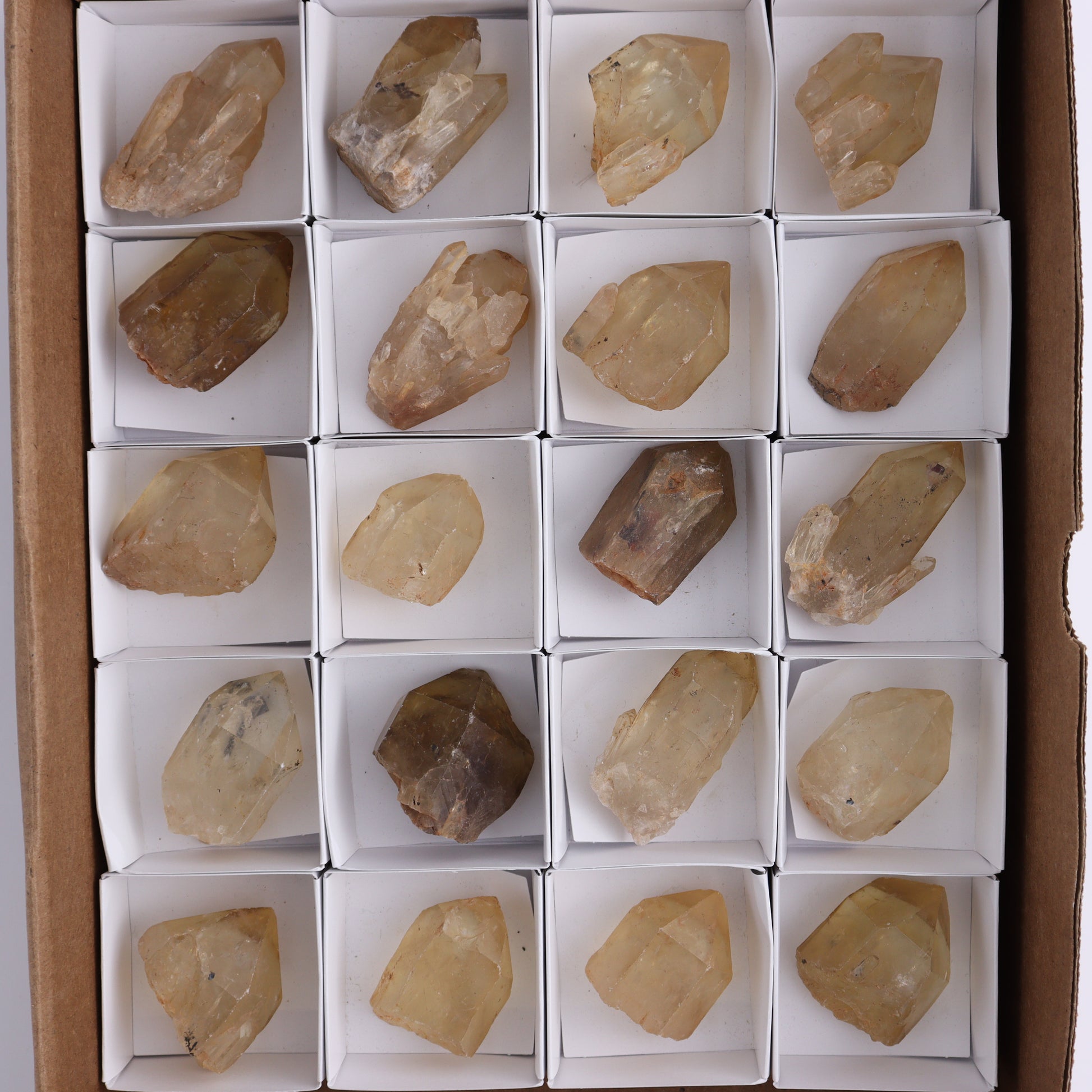 Congo Citrine Set of 20 - Expert Wholesale and Supplier of Wholesale Crystals & Bulk Gemstones, ["Citrine","Congo","Rough","Roughs"]