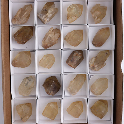 Congo Citrine Set of 20 - Expert Wholesale and Supplier of Wholesale Crystals & Bulk Gemstones, ["Citrine","Congo","Rough","Roughs"]
