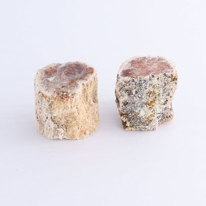 Petrified Wood Cut Bases Set of 10 - Expert Wholesale and Supplier of Wholesale Crystals & Bulk Gemstones, ["Cut Base","Petrified Wood"]