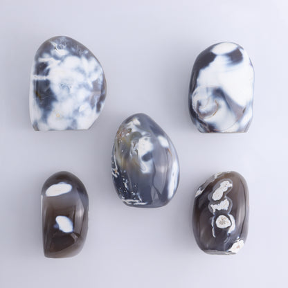 Orca Agate Freeform Set of 5 - Expert Wholesale and Supplier of Wholesale Crystals & Bulk Gemstones, ["Freeforms","Madagascar","Orca Agate"]