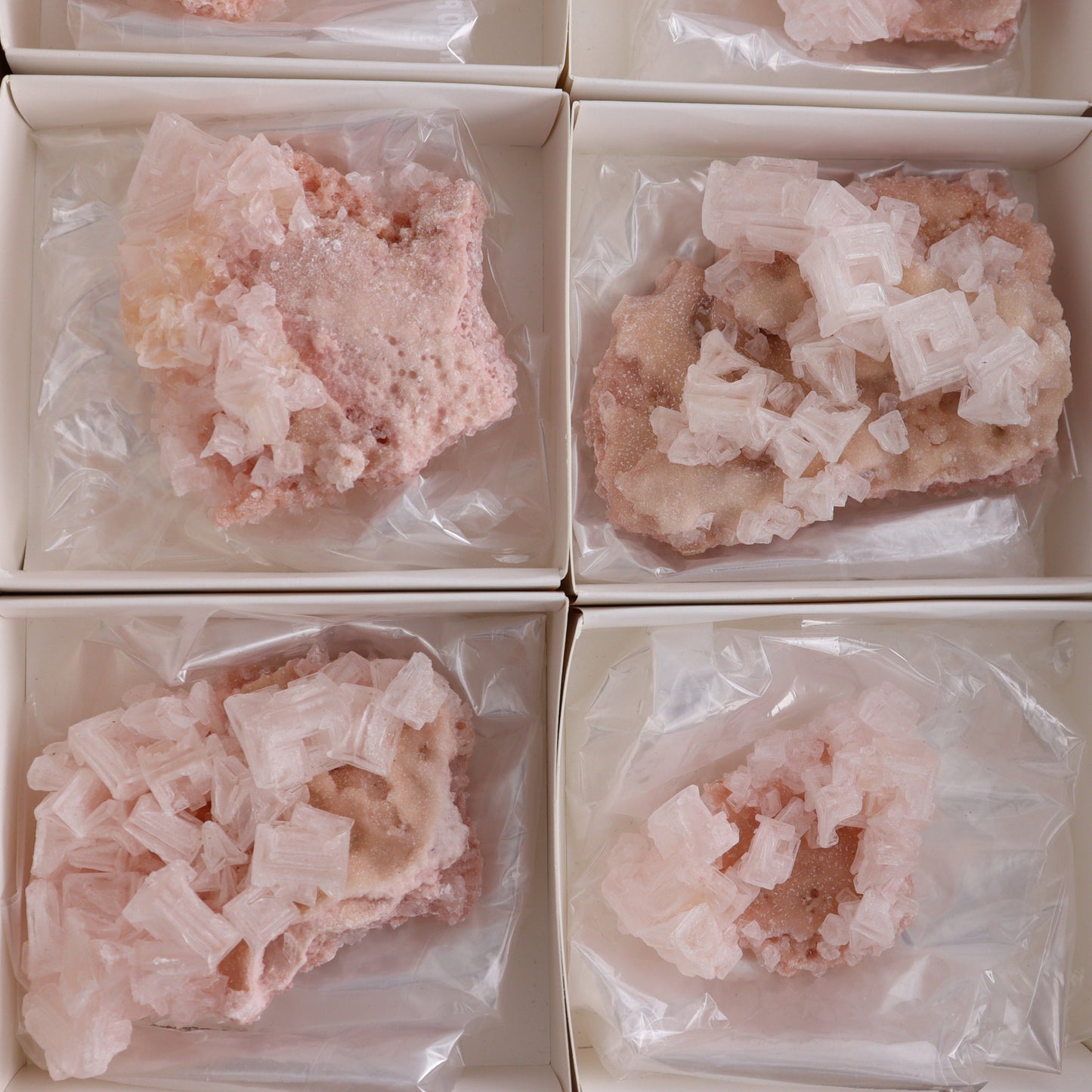Searles Lake Halite Flat of 6 - Expert Wholesale and Supplier of Wholesale Crystals & Bulk Gemstones, ["Flats","Halite","United States"]