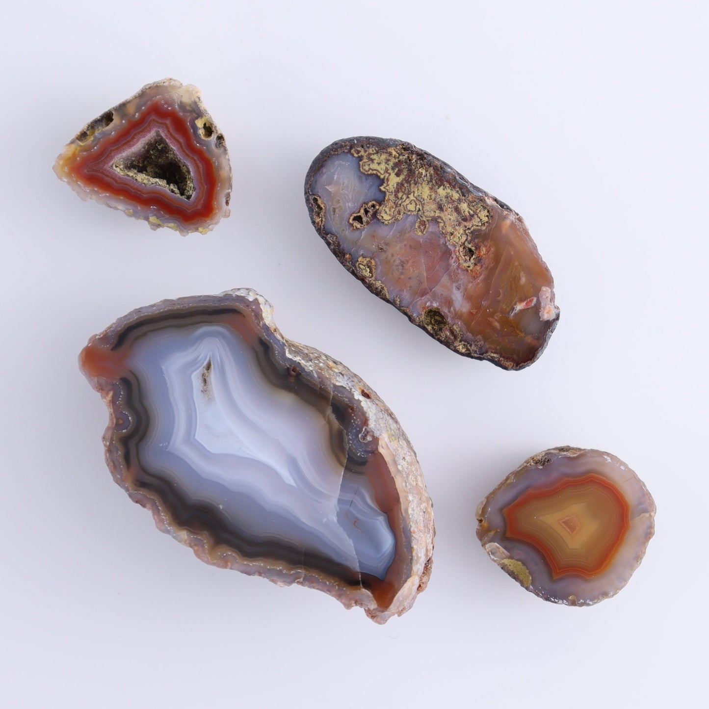 Coyamito Agate Geodes from Mexico Set of 8