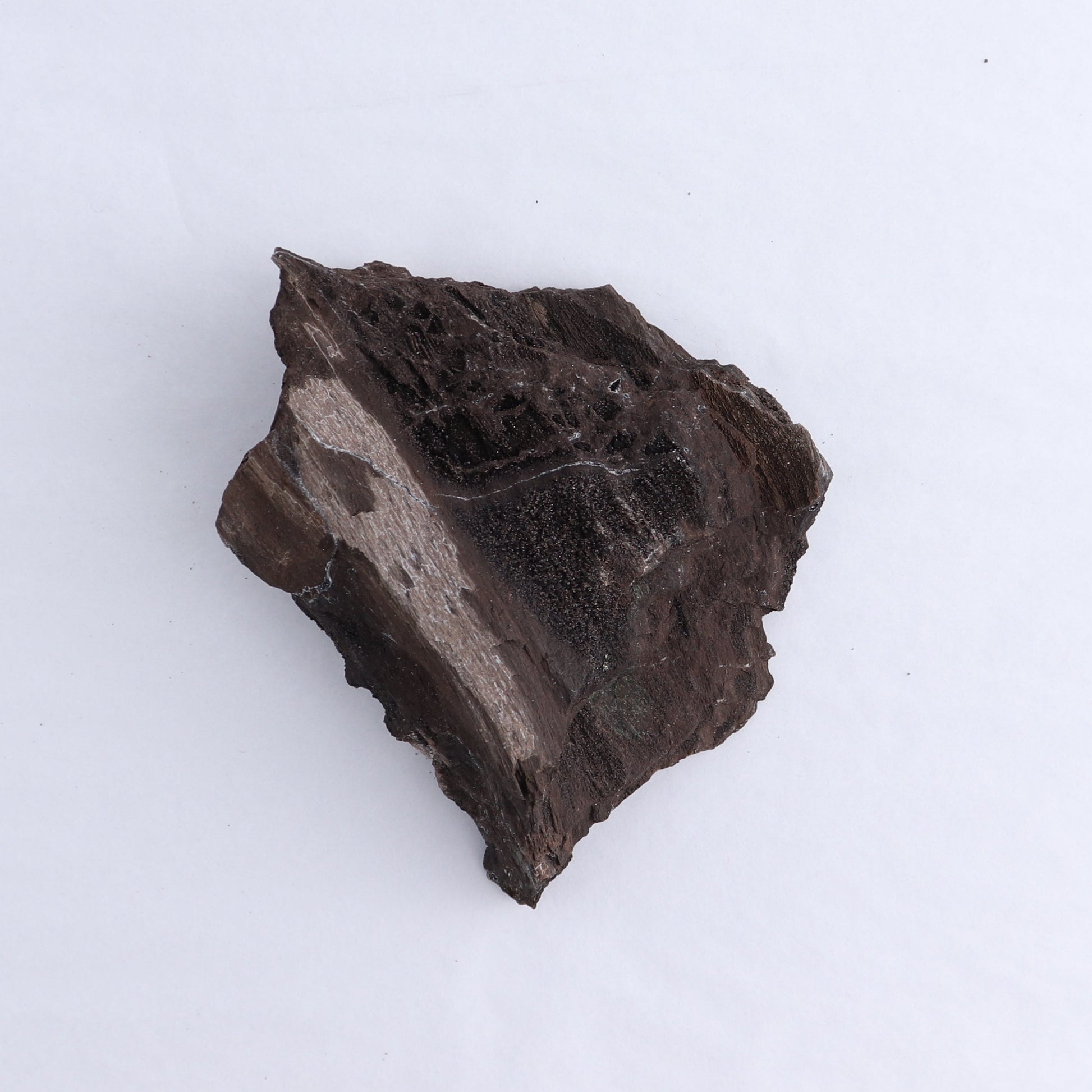 Permineralized Wood Flat of 8 - Expert Wholesale and Supplier of Wholesale Crystals & Bulk Gemstones, ["Indonesia","Permineralized Wood"]