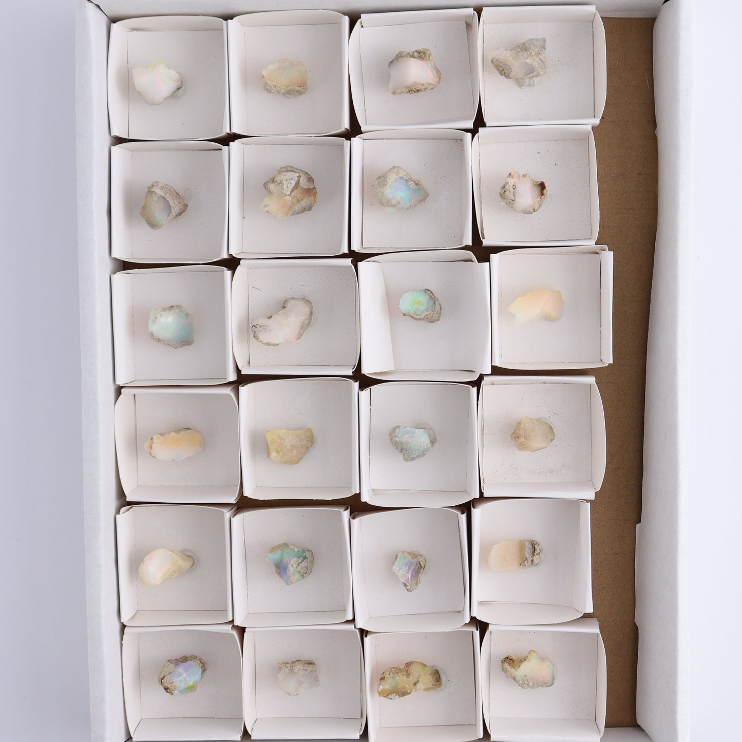 Ethiopian Opal Set of 24 - Expert Wholesale and Supplier of Wholesale Crystals & Bulk Gemstones, ["Ethiopia","ethiopian opal","Opal"]