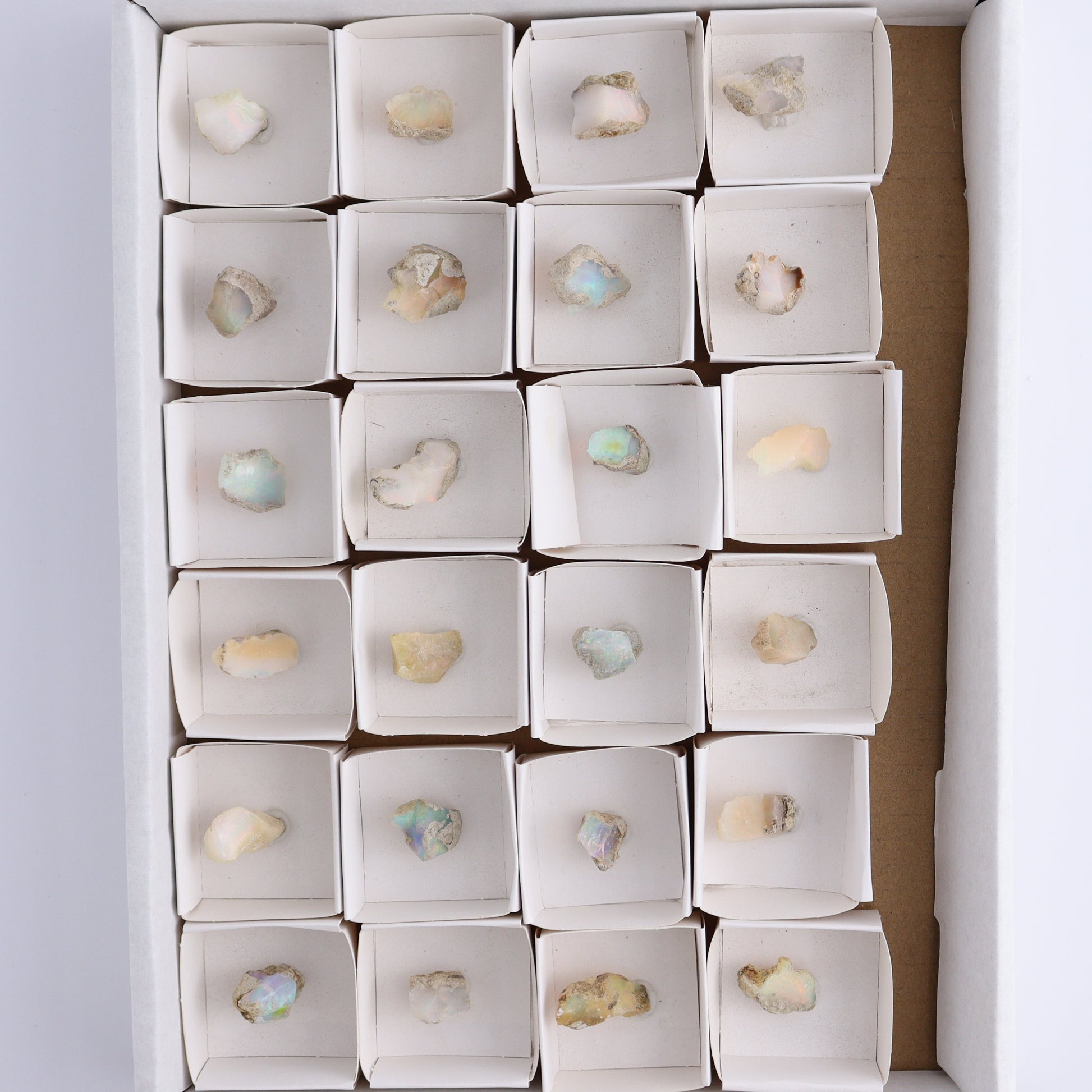 Ethiopian Opal Set of 24 - Expert Wholesale and Supplier of Wholesale Crystals & Bulk Gemstones, ["Ethiopia","ethiopian opal","Opal"]