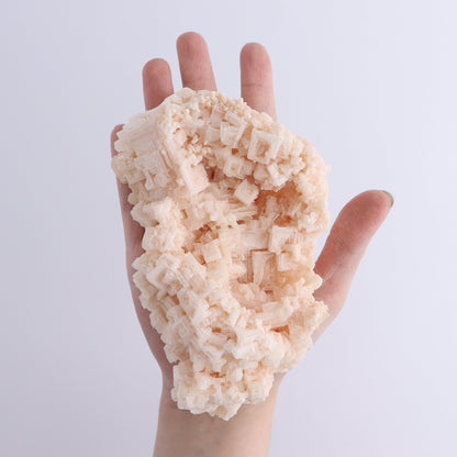 Halite on Trona from Owens Lake Set of 6 - Expert Wholesale and Supplier of Wholesale Crystals & Bulk Gemstones, ["California","Flats","Halite","halite on trona","Pink Halite","United States"]