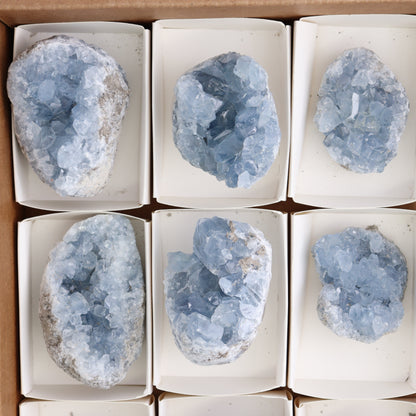Celestite Clusters Set of 9 - Expert Wholesale and Supplier of Wholesale Crystals & Bulk Gemstones, ["Celestite","Clusters","Freeform"]
