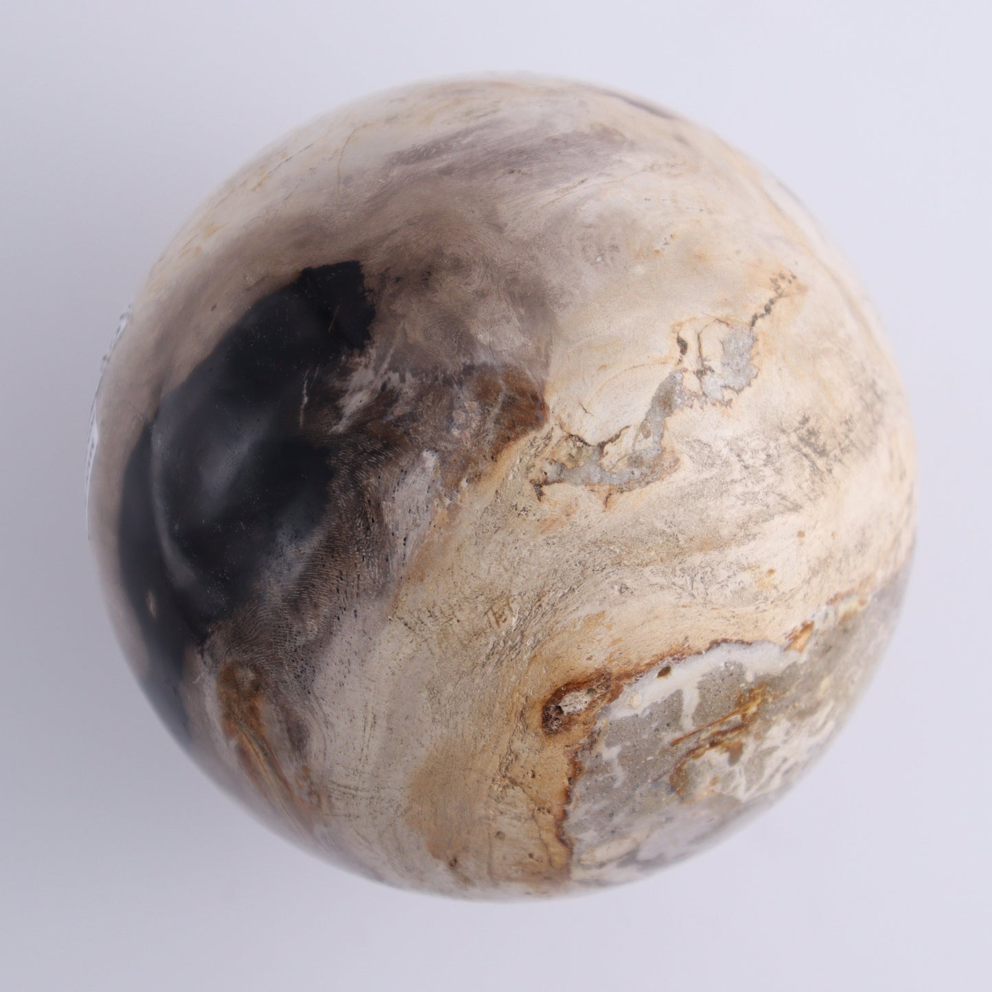 Petrified Wood Spheres Set of 3 - Expert Wholesale and Supplier of Wholesale Crystals & Bulk Gemstones, ["Indonesia","Petrified Wood","Spheres"]
