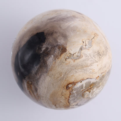 Petrified Wood Spheres Set of 3 - Expert Wholesale and Supplier of Wholesale Crystals & Bulk Gemstones, ["Indonesia","Petrified Wood","Spheres"]