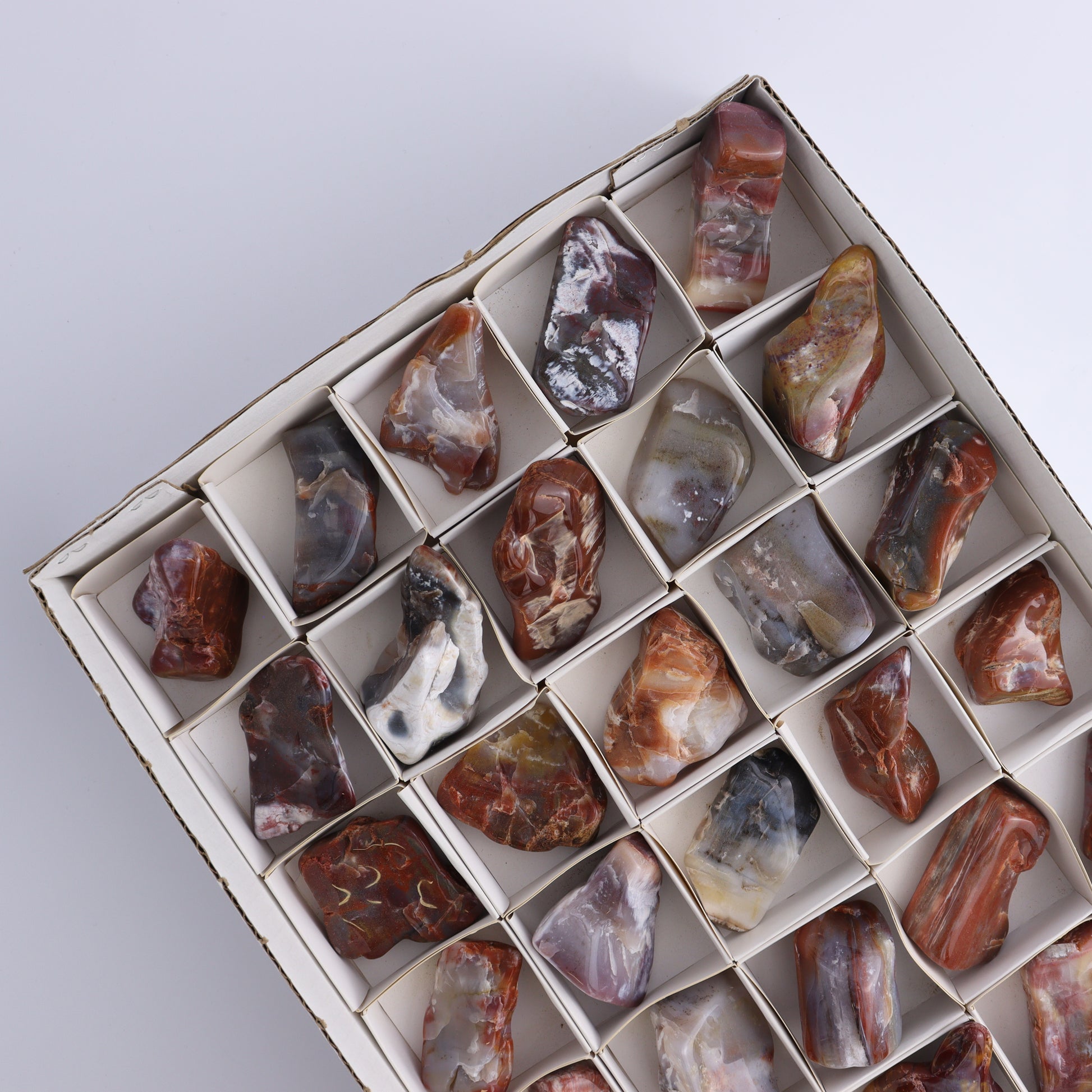 Arizona Petrified Wood Set of 35 - Expert Wholesale and Supplier of Wholesale Crystals & Bulk Gemstones, ["Arizona Petrified Wood","Freeform","Freeforms","Petrified Wood","United States"]