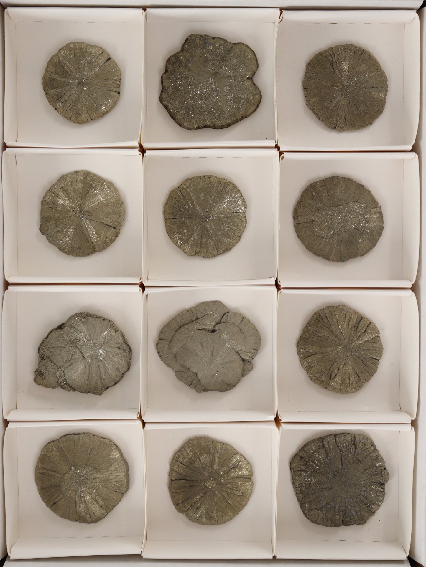 Pyrite Slices and Slabs Set of 12 - Expert Wholesale and Supplier of Wholesale Crystals & Bulk Gemstones, []