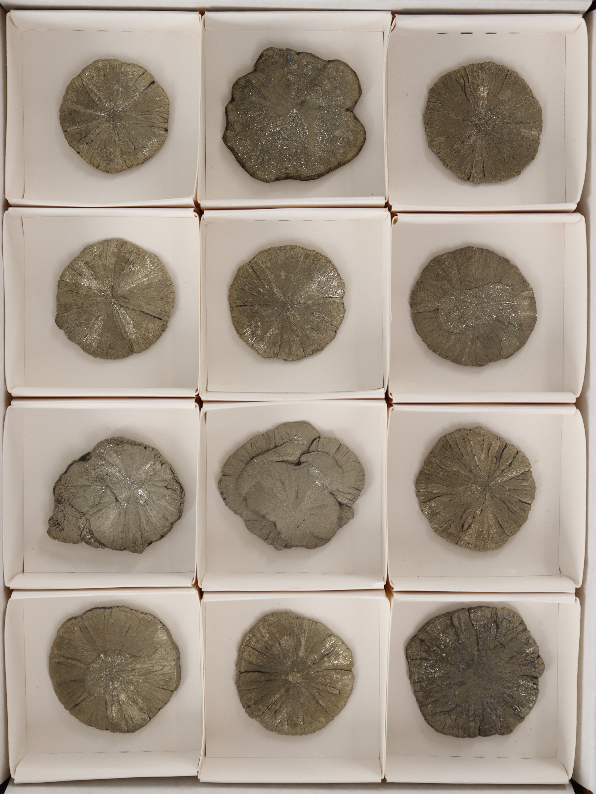 Pyrite Slices and Slabs Set of 12 - Expert Wholesale and Supplier of Wholesale Crystals & Bulk Gemstones, []