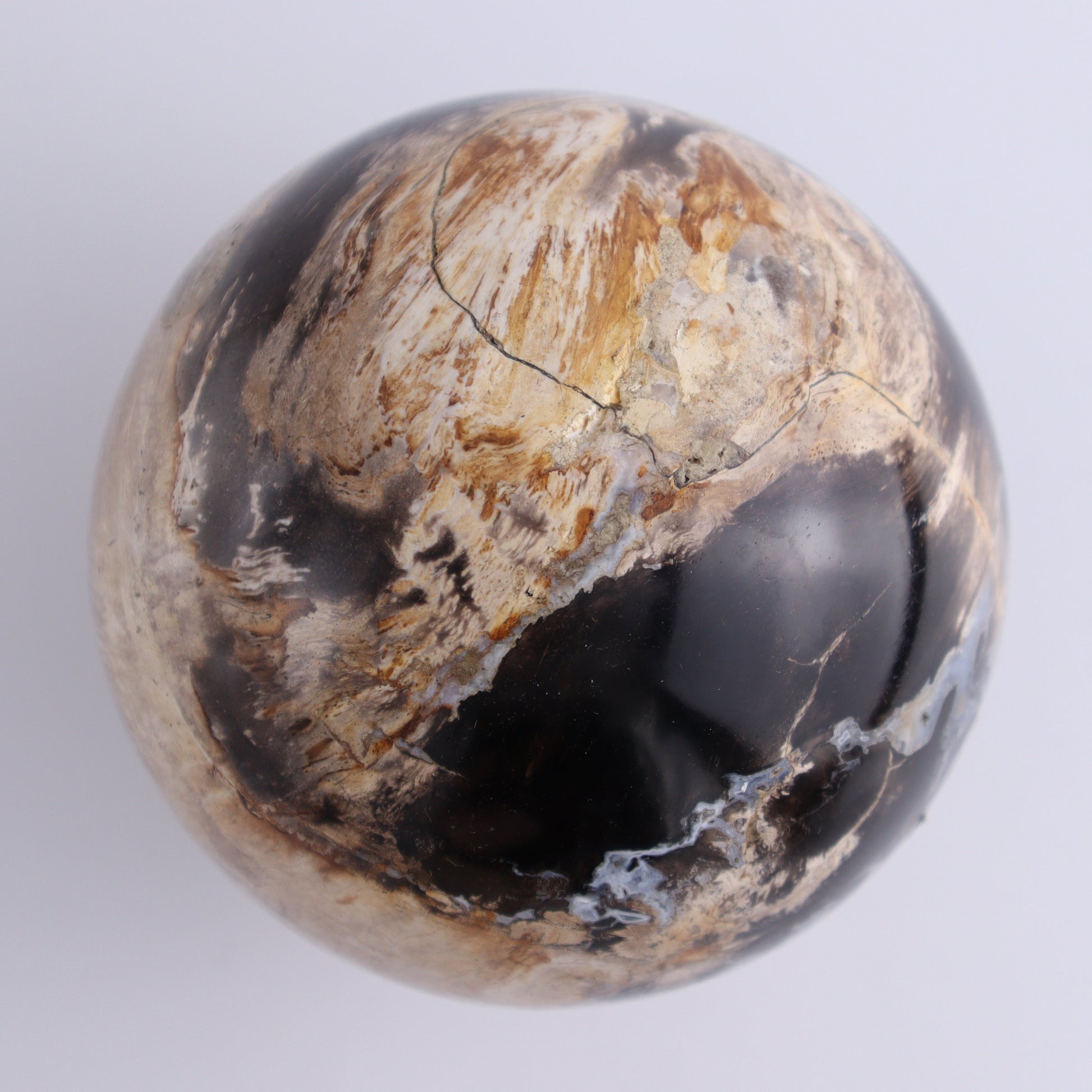 Petrified Wood Spheres Set of 3 - Expert Wholesale and Supplier of Wholesale Crystals & Bulk Gemstones, ["Indonesia","Petrified Wood","Spheres"]