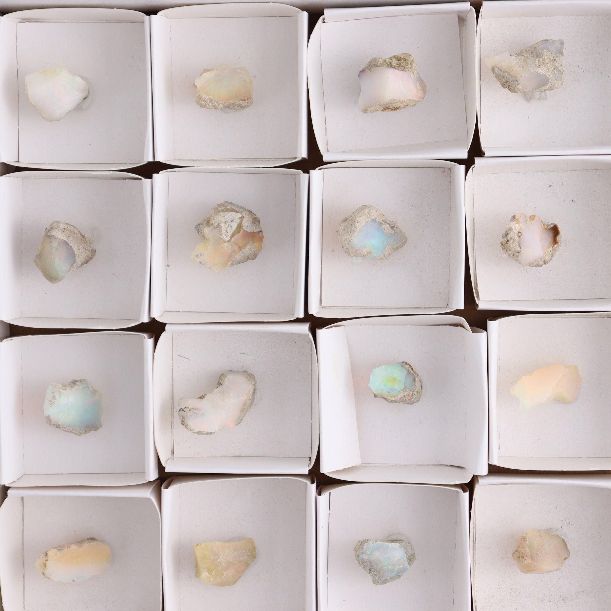 Ethiopian Opal Set of 24 - Expert Wholesale and Supplier of Wholesale Crystals & Bulk Gemstones, ["Ethiopia","ethiopian opal","Opal"]