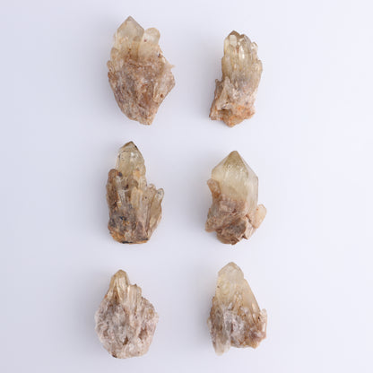 Imperfect Citrine Points Set of 6 - Expert Wholesale and Supplier of Wholesale Crystals & Bulk Gemstones, ["Citrine","Points","Rough","Roughs"]