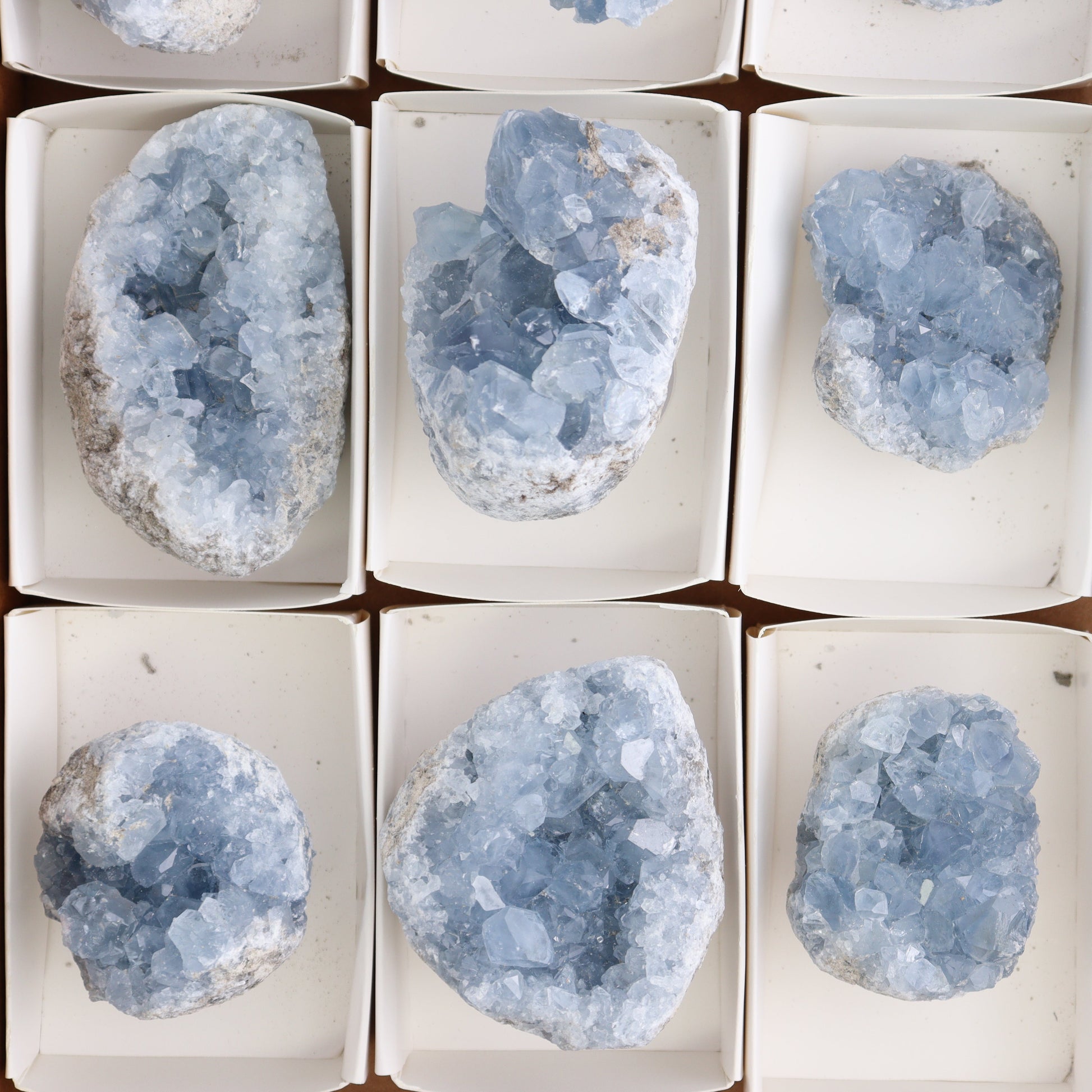 Celestite Clusters Set of 9 - Expert Wholesale and Supplier of Wholesale Crystals & Bulk Gemstones, ["Celestite","Clusters","Freeform"]