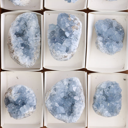 Celestite Clusters Set of 9 - Expert Wholesale and Supplier of Wholesale Crystals & Bulk Gemstones, ["Celestite","Clusters","Freeform"]