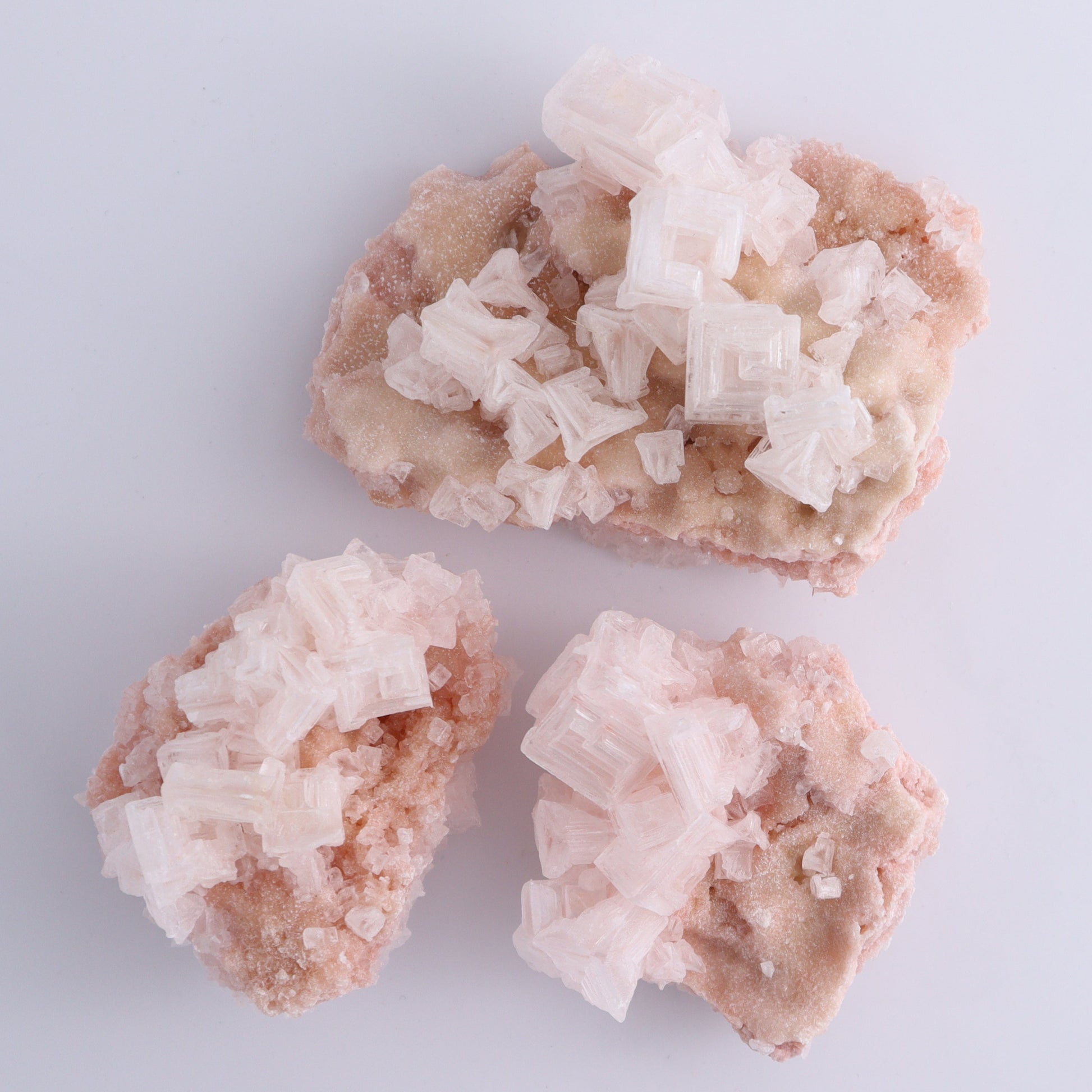 Searles Lake Halite Flat of 6 - Expert Wholesale and Supplier of Wholesale Crystals & Bulk Gemstones, ["Flats","Halite","United States"]
