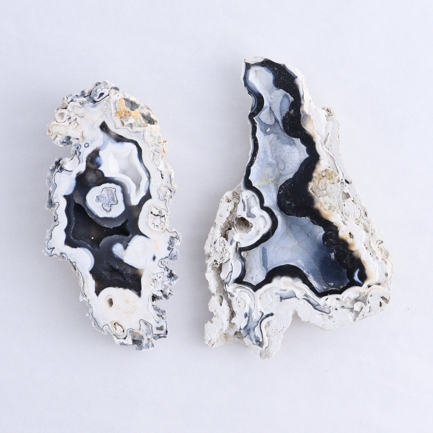 Agatized Coral Flat - Expert Wholesale and Supplier of Wholesale Crystals & Bulk Gemstones, ["Agate","Agatized Coral","Coral","United States"]