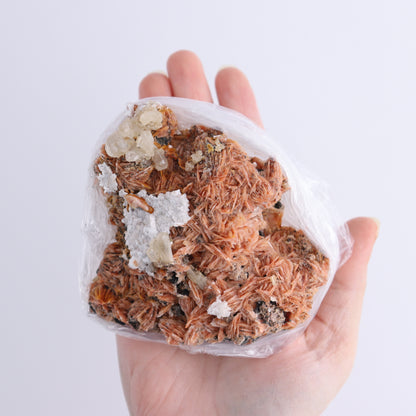 Cerussite Barite from Morocco Flat - Expert Wholesale and Supplier of Wholesale Crystals & Bulk Gemstones, ["Cerussite Barite","close_70","Flats","Morocco"]