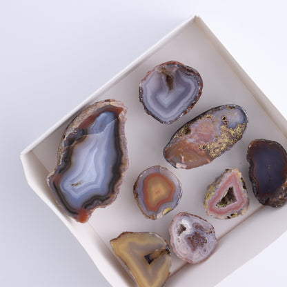 Coyamito Agate Geodes from Mexico Set of 8