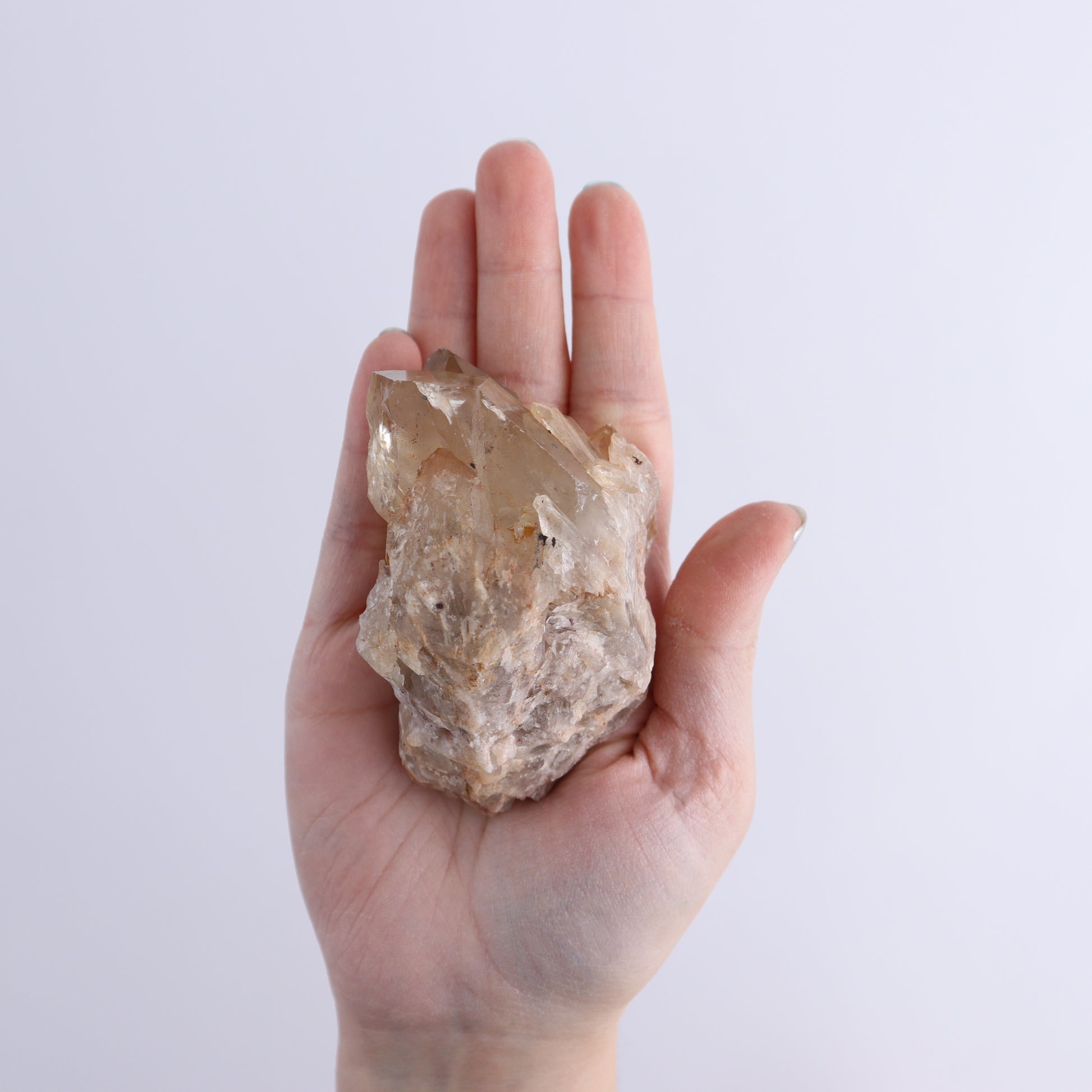 Congo Citrine Set of 6 - Expert Wholesale and Supplier of Wholesale Crystals & Bulk Gemstones, ["Citrine","Congo","Rough","Roughs"]