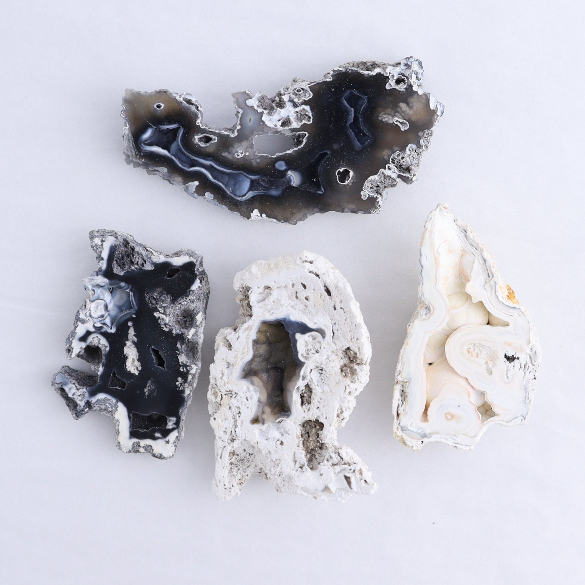 Agatized Coral Flat - Expert Wholesale and Supplier of Wholesale Crystals & Bulk Gemstones, ["Agate","Agatized Coral","Coral","United States"]