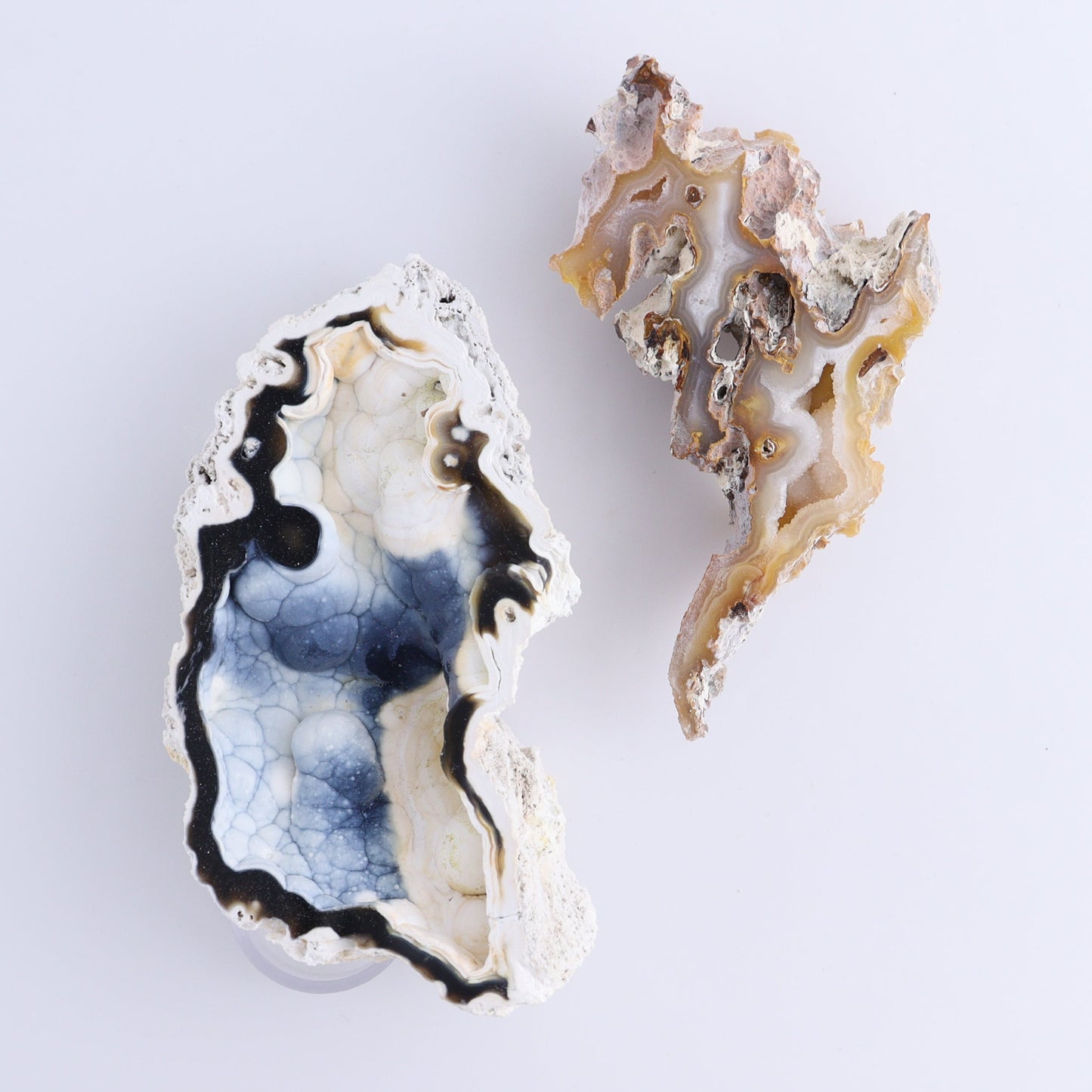 Agatized Coral Flat - Expert Wholesale and Supplier of Wholesale Crystals & Bulk Gemstones, ["Agate","Agatized Coral","Coral","United States"]