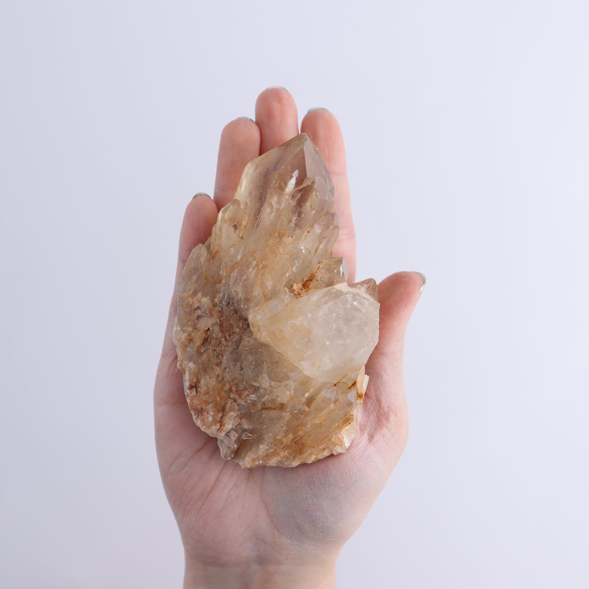 Congo Citrine Set of 6 - Expert Wholesale and Supplier of Wholesale Crystals & Bulk Gemstones, ["Citrine","Congo","Rough","Roughs"]