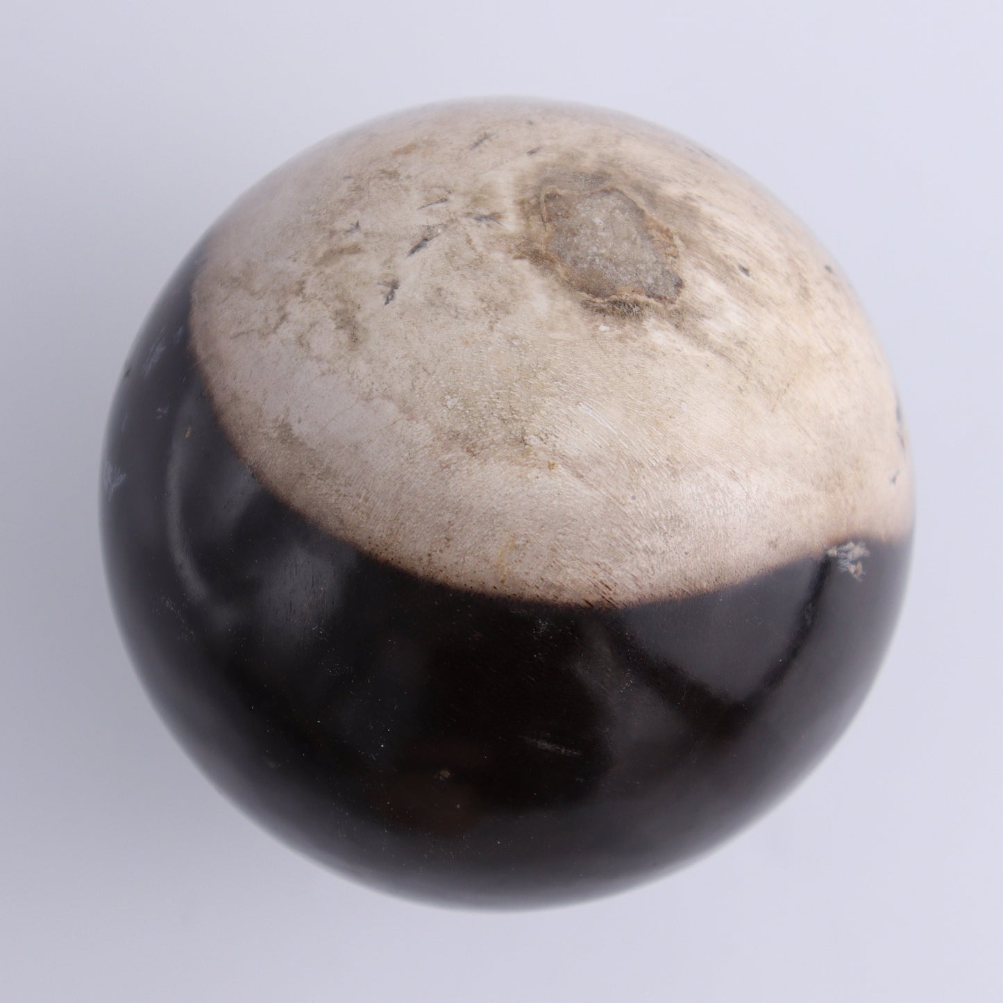 Petrified Wood Spheres Set of 3 - Expert Wholesale and Supplier of Wholesale Crystals & Bulk Gemstones, ["Indonesia","Petrified Wood","Spheres"]