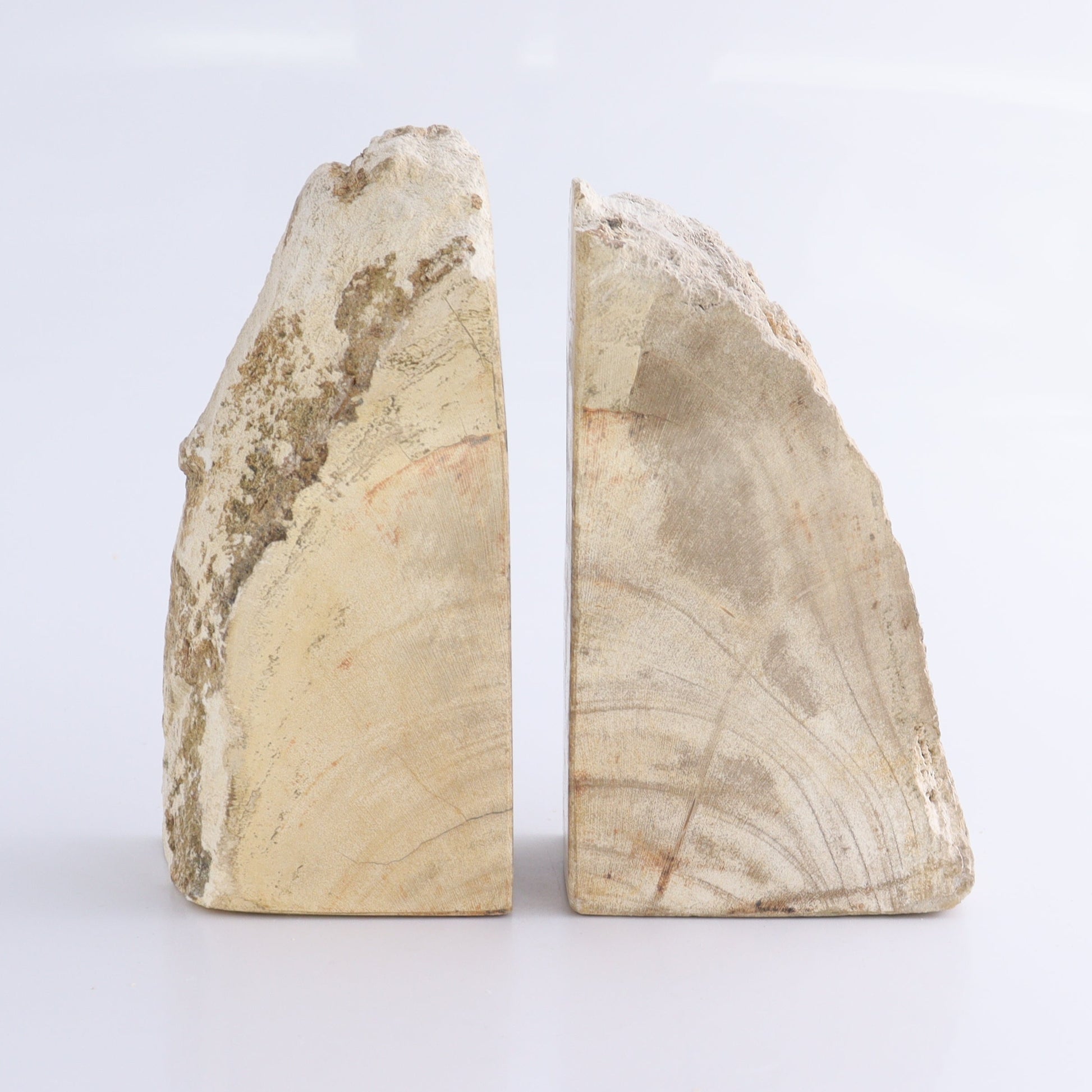 One Pair of White/Grey 1.5-1.7 kg Petrified Wood Bookends - Expert Wholesale and Supplier of Wholesale Crystals & Bulk Gemstones, ["Bookends","Indonesia","Petrified Wood"]