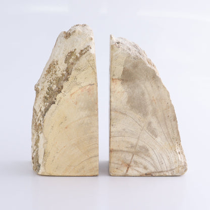 One Pair of White/Grey 1.5-1.7 kg Petrified Wood Bookends - Expert Wholesale and Supplier of Wholesale Crystals & Bulk Gemstones, ["Bookends","Indonesia","Petrified Wood"]