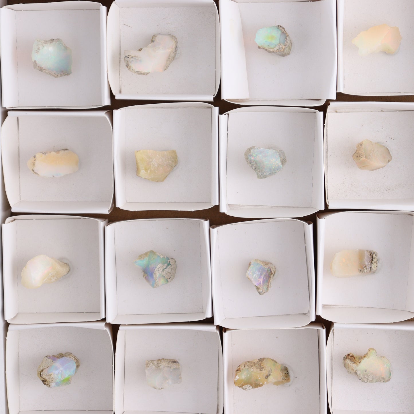 Ethiopian Opal Set of 24 - Expert Wholesale and Supplier of Wholesale Crystals & Bulk Gemstones, ["Ethiopia","ethiopian opal","Opal"]