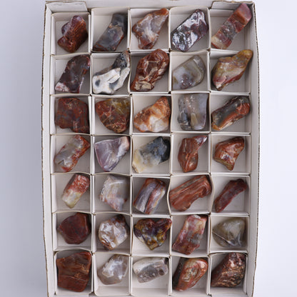 Arizona Petrified Wood Set of 35 - Expert Wholesale and Supplier of Wholesale Crystals & Bulk Gemstones, ["Arizona Petrified Wood","Freeform","Freeforms","Petrified Wood","United States"]