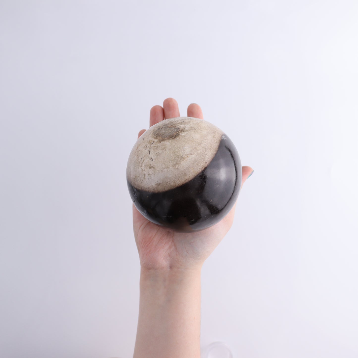 Petrified Wood Spheres Set of 3 - Expert Wholesale and Supplier of Wholesale Crystals & Bulk Gemstones, ["Indonesia","Petrified Wood","Spheres"]