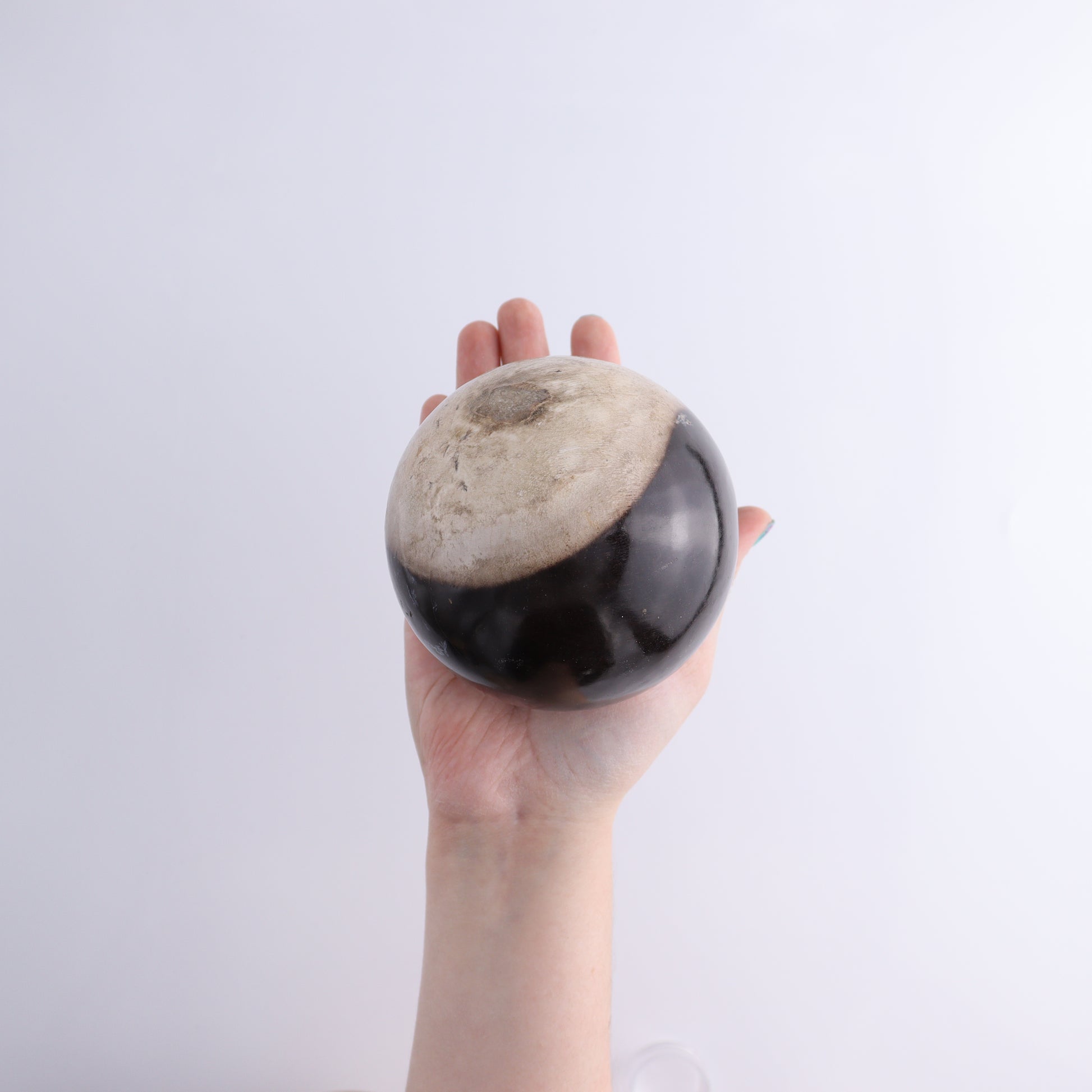 Petrified Wood Spheres Set of 3 - Expert Wholesale and Supplier of Wholesale Crystals & Bulk Gemstones, ["Indonesia","Petrified Wood","Spheres"]