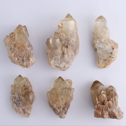 Congo Citrine Set of 6 - Expert Wholesale and Supplier of Wholesale Crystals & Bulk Gemstones, ["Citrine","Congo","Rough","Roughs"]