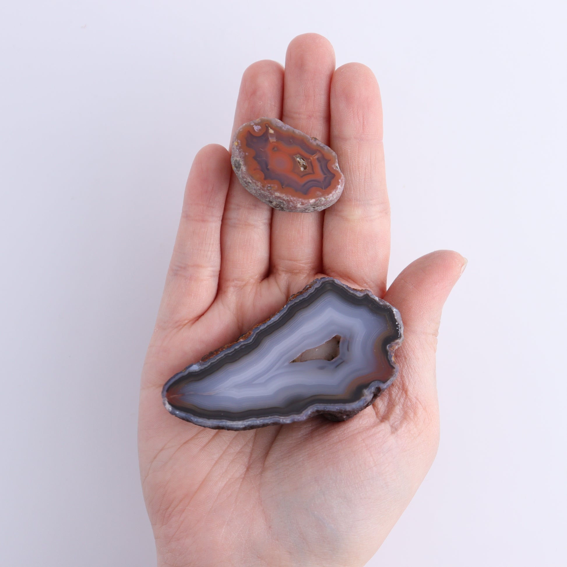 Coyamito Agate Geodes from Mexico Set of 9 - Expert Wholesale and Supplier of Wholesale Crystals & Bulk Gemstones, ["Agate","Coyamito Agate","Geodes","Mexico"]