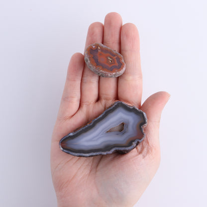 Coyamito Agate Geodes from Mexico Set of 9 - Expert Wholesale and Supplier of Wholesale Crystals & Bulk Gemstones, ["Agate","Coyamito Agate","Geodes","Mexico"]